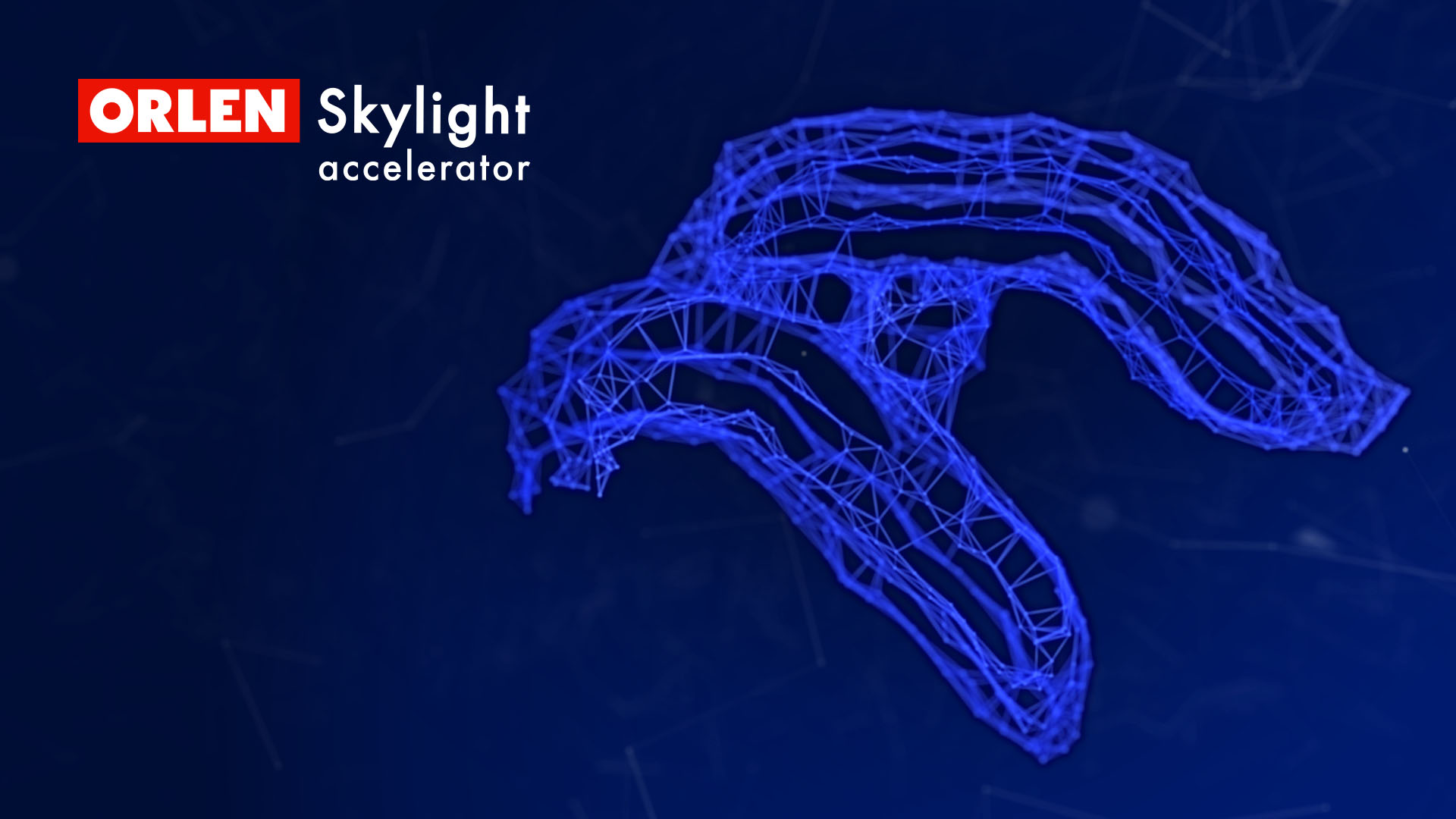 Graphic_ORLEN-Skylight-Accelerator.jpg